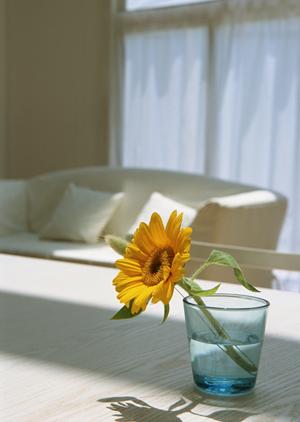 クレバリーホーム 新座・朝霞店の魅力と特徴