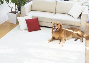 作業手順書作成の強力なパートナー