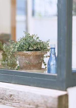 和泉市のおしゃれなデザインリフォーム